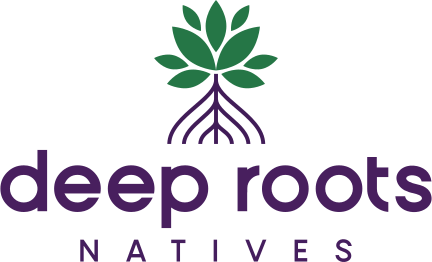 Deep Roots Natives