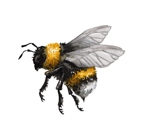 bee