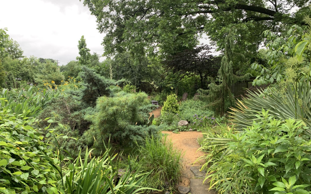 High-Quality Nursery Native Plants | Deep Roots Natives